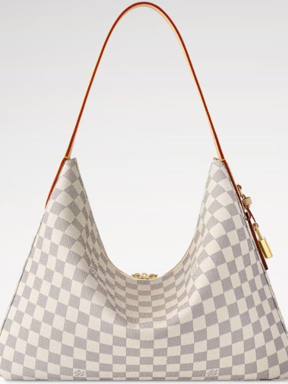 Louis Vuitton Slouchy MM - Picture 5 of 5